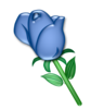 Blue Rose Image